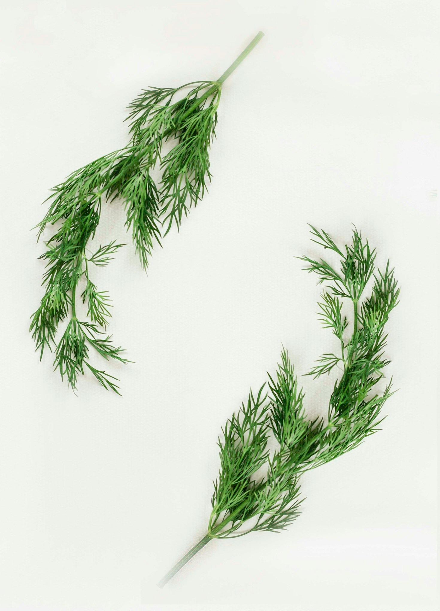 The Science Behind Evidence Informed Naturopathy